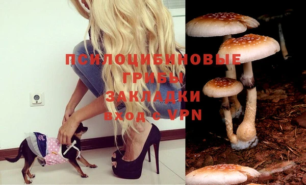 винт Белоозёрский