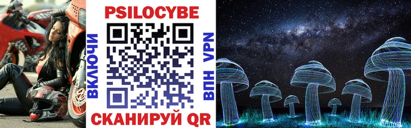 где можно купить   Буинск  Галлюциногенные грибы MAGIC MUSHROOMS 